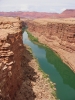 PICTURES/Trip Up to North Rim/t_Navajo Bridge View of Colorado.JPG